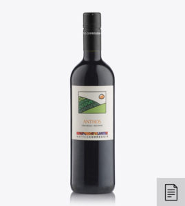 Anthos - vini del roero - roero wines